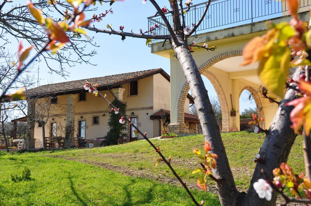 Hotel Torre Mannella Citta Sant'Angelo Exteriér fotografie